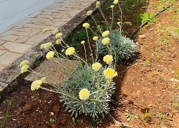 Dimora Bianchemura Ostuni