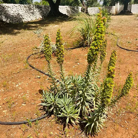 Dimora Bianchemura Villa Ostuni