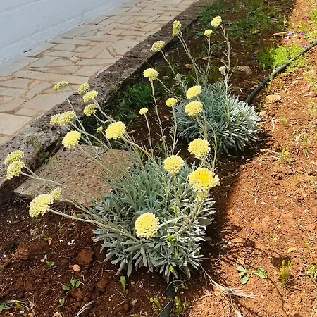 Dimora Bianchemura Ostuni